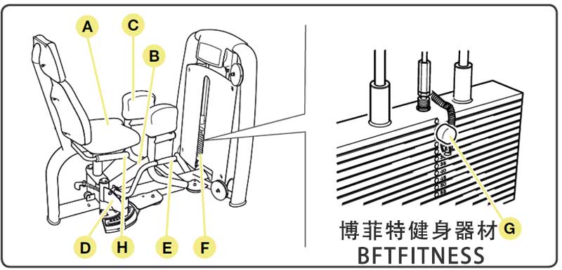 大腿外展外侧肌91香蕉视频软件污黄