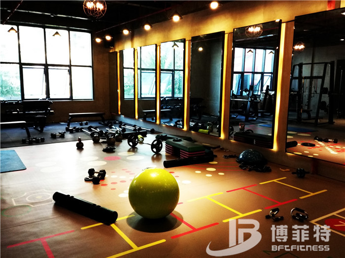 Guangzhou BFT Fitness Equipment Co., Ltd. Customer's Gym Photo